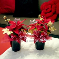 聖誕節盆花(2盆)【HA011】