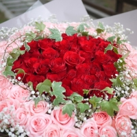 99朵玫瑰花束-紅粉雙色【AA211】高雄花束訂購